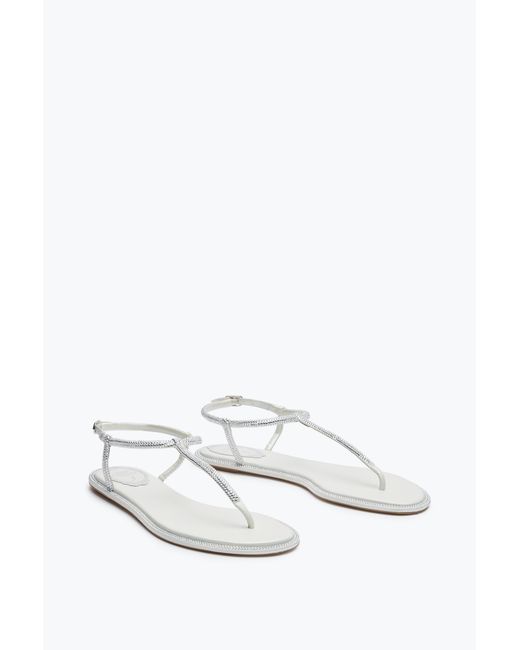 Rene Caovilla White Diana Ivory Satin/C.Moonlight Strass Thong