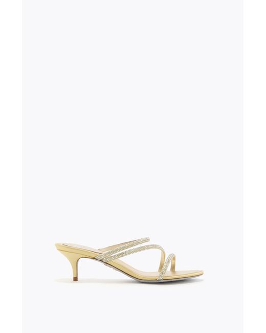 Rene Caovilla White Erin Lemon Mule 50