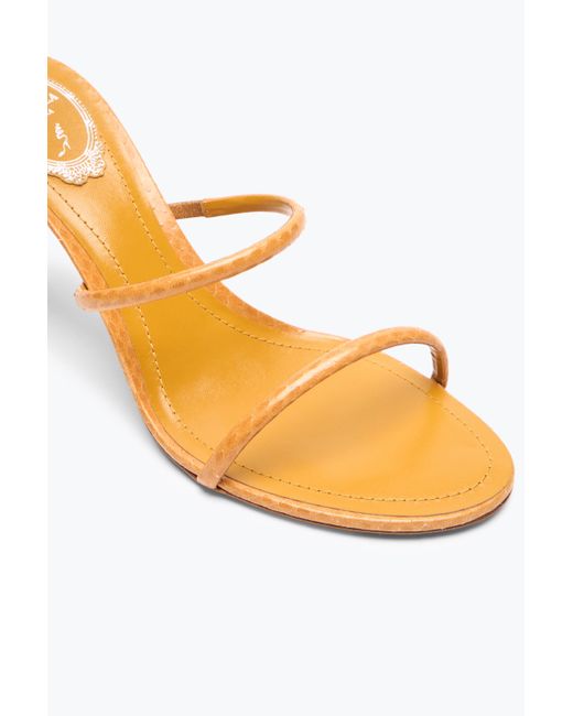 Sandale Cleo En Cuir D'Ayers Ocre 80 Rene Caovilla en coloris Pink