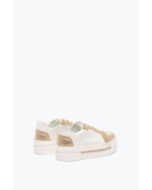 Sneaker Xtra-Or Avec Cristaux 50 Rene Caovilla en coloris White