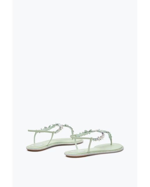 Rene Caovilla White Eden Mint Thong Sandal 10