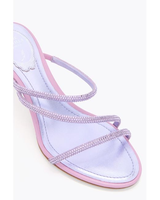 Rene Caovilla White Erin Wisteria Mule 50