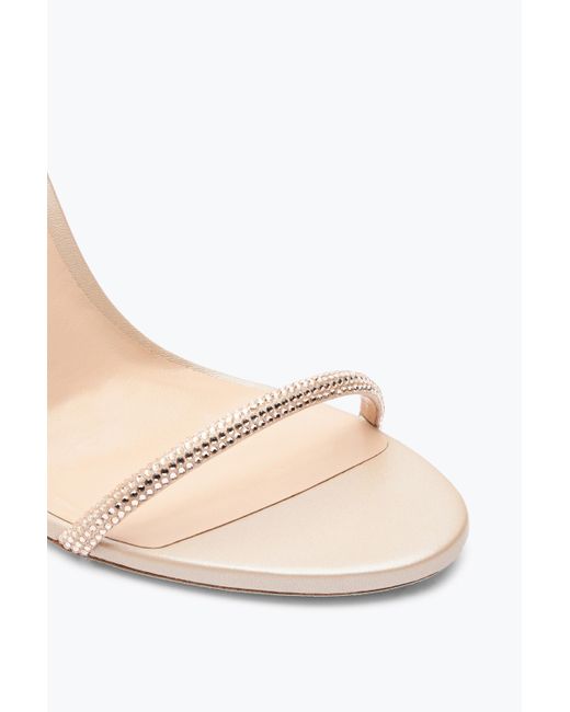Rene Caovilla White Ellabrita Crystal Blush Sandal 105