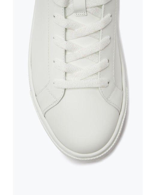 Rene Caovilla White Xtra And Sneaker 15