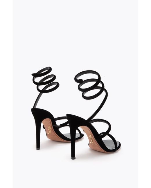 Cleo Velours Sandale 105 Rene Caovilla en coloris Black