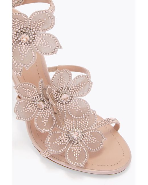 Rene Caovilla White Peach Flower Blush Sandal 105