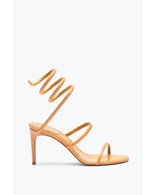 Sandale Cleo En Cuir D'Ayers Ocre 80 Rene Caovilla en coloris Pink