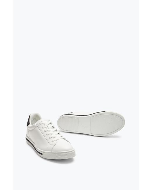 Sneaker Xtra Blanc Et Noir Avec Cristaux 15 Rene Caovilla en coloris White