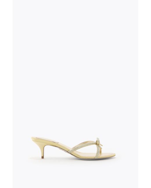 Rene Caovilla White Lynette Lemon Mule 50