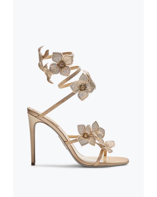 Rene Caovilla White Floriane Honey Sandal 105