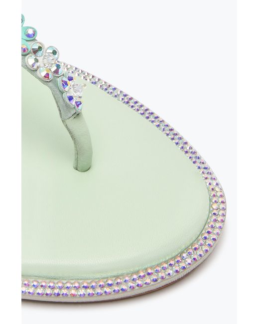 Rene Caovilla White Eden Mint Thong Sandal 10