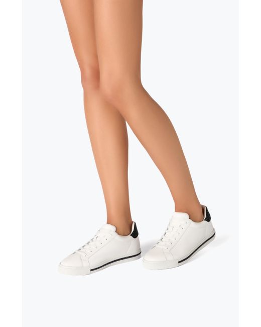 Sneaker Xtra Blanc Et Noir Avec Cristaux 15 Rene Caovilla en coloris White