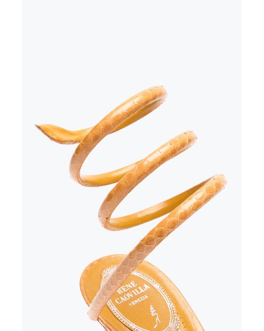 Sandale Cleo En Cuir D'Ayers Ocre 80 Rene Caovilla en coloris Pink