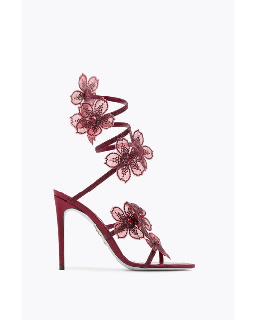 Rene Caovilla Pink Peach Flower Burgundy Sandal 105