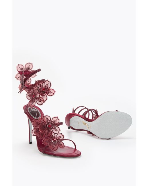 Rene Caovilla Pink Peach Flower Burgundy Sandal 105