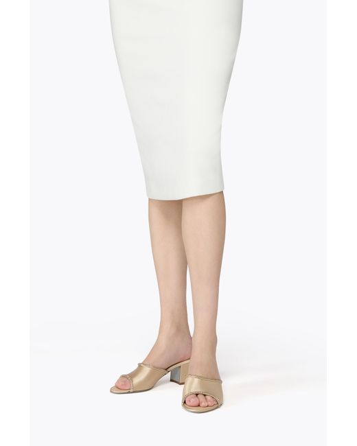 Rene Caovilla Multicolor Margherita Champagne Mule 50