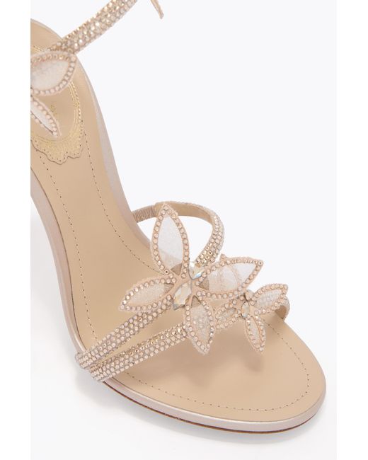 Rene Caovilla White Margot Champagne Sandal With Butterflies 105