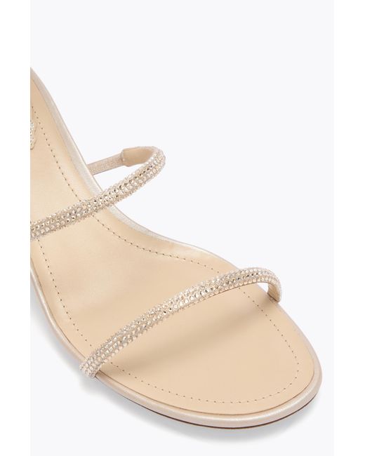 Rene Caovilla White Sandalo Cleo Oro 40