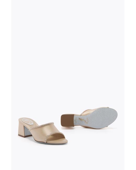 Rene Caovilla Multicolor Margherita Champagne Mule 50