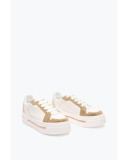 Sneaker Xtra-Or Avec Cristaux 50 Rene Caovilla en coloris White