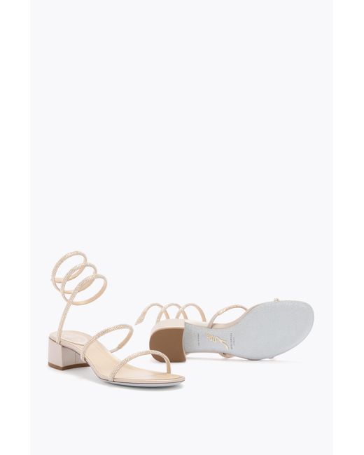 Rene Caovilla White Sandalo Cleo Oro 40