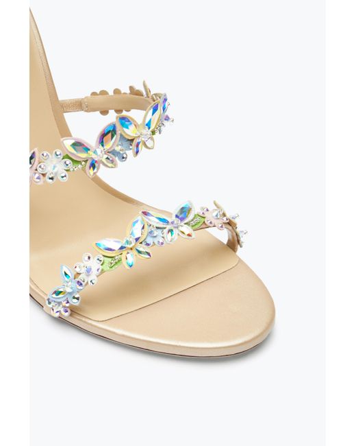 Rene Caovilla White Eden Nude Sandal 105