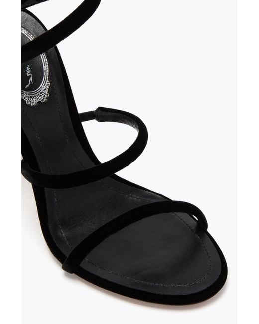 Cleo Velours Sandale 105 Rene Caovilla en coloris Black