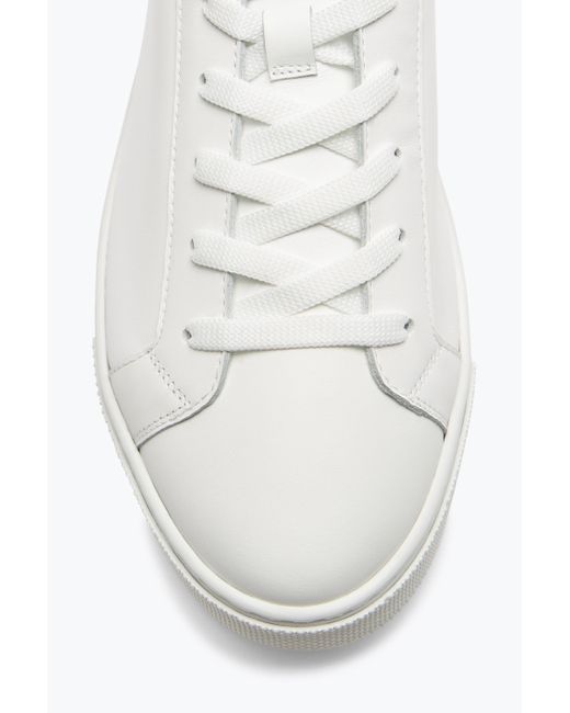 Sneaker Xtra Blanc Et Noir Avec Cristaux 15 Rene Caovilla en coloris White