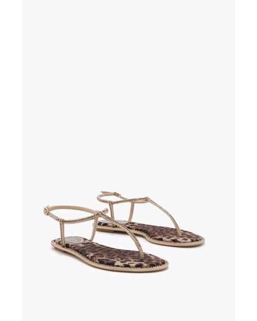 Rene Caovilla White Diana Animalier Sandal With Crystals 10