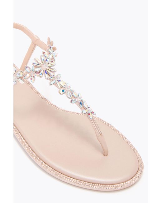 Rene Caovilla Multicolor Eva Nude Thong Sandal 10