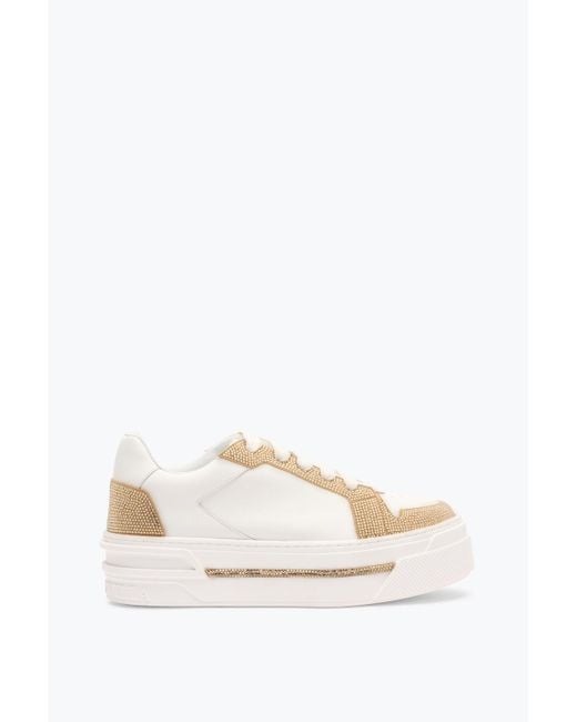 Sneaker Xtra-Or Avec Cristaux 50 Rene Caovilla en coloris White