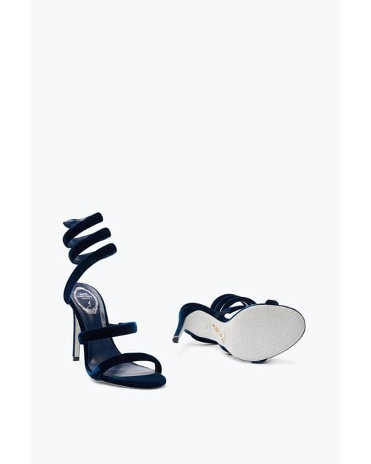 Sandale Cleo En Velours Marine 105 Rene Caovilla en coloris Blue