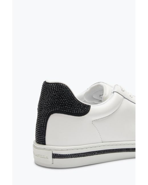 Sneaker Xtra Blanc Et Noir Avec Cristaux 15 Rene Caovilla en coloris White