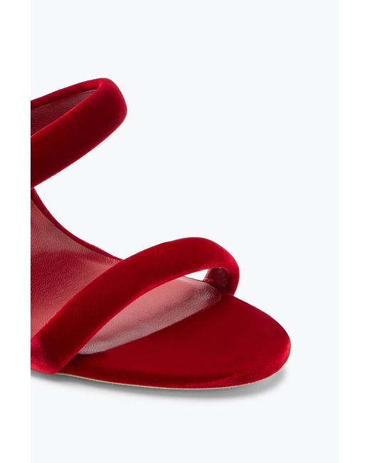 Rene Caovilla Red Cleo Ruby Velvet Sandal 105