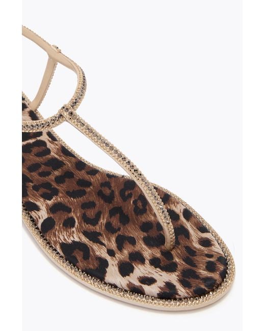 Rene Caovilla White Diana Animalier Sandal With Crystals 10