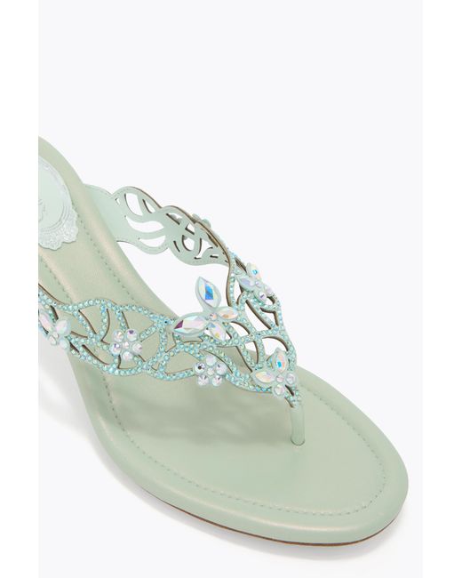 Rene Caovilla White Eden Mint Thong Mule 50