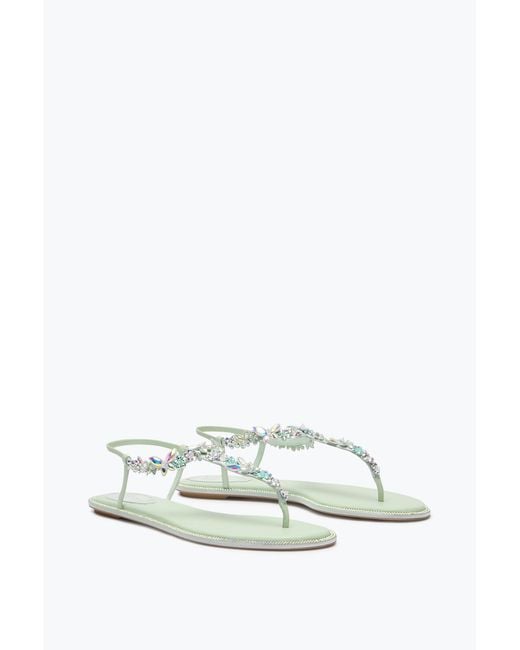 Rene Caovilla White Eden Mint Thong Sandal 10