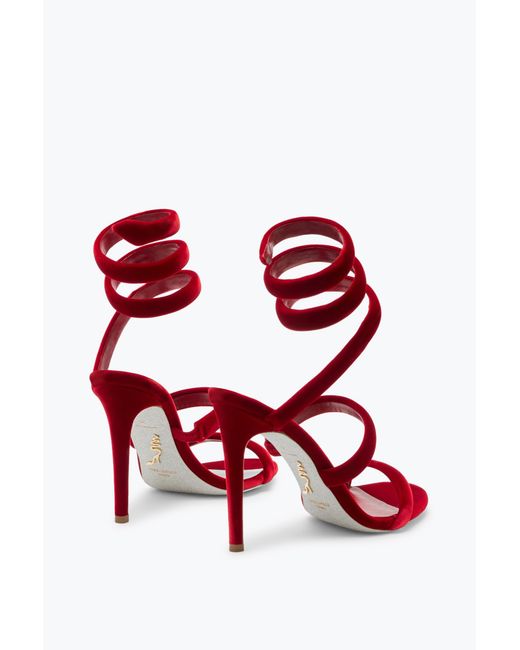Rene Caovilla Red Cleo Ruby Velvet Sandal 105