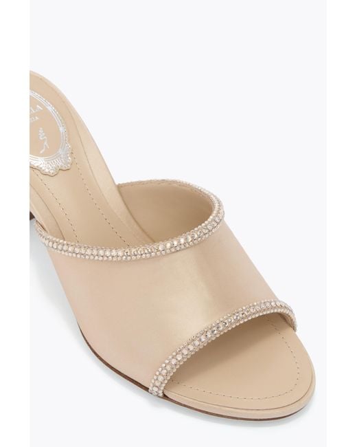 Rene Caovilla Multicolor Margherita Champagne Mule 50