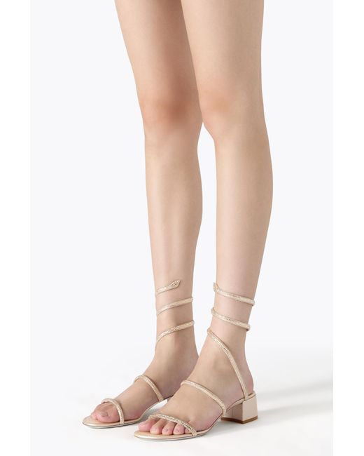 Rene Caovilla White Sandalo Cleo Oro 40