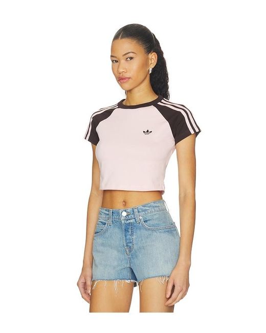 Adidas Originals Blue Superstar Baby Tee