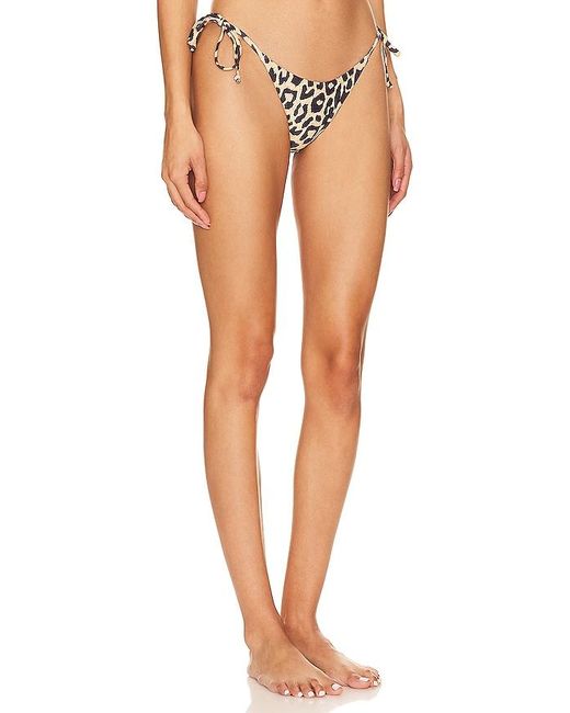 superdown Multicolor Jayla Bikini Bottom