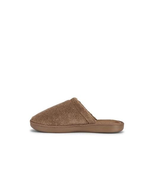Brunch Brown Essential for men