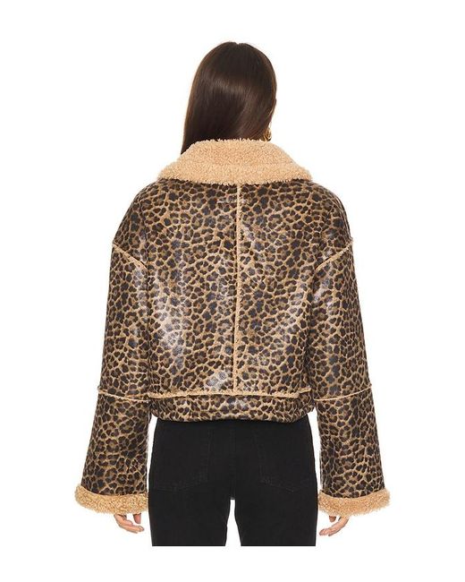 Blank NYC Black Bonded Moto Jacket In