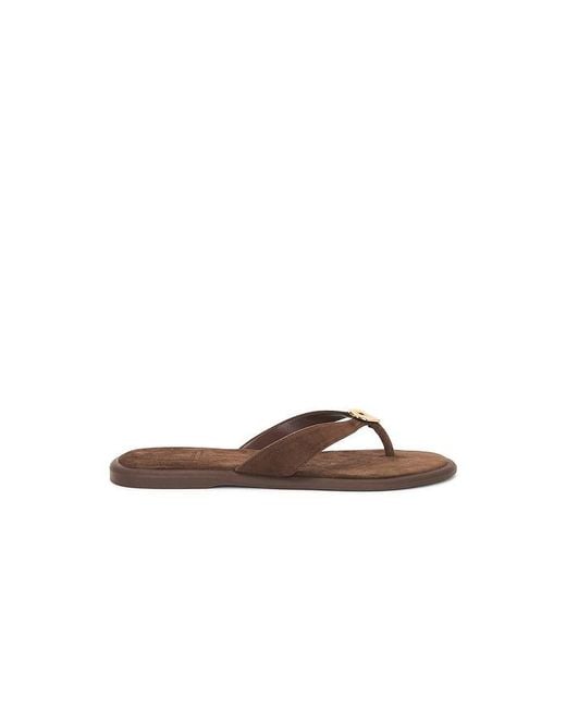 Dolce Vita Brown Jaina Sandal