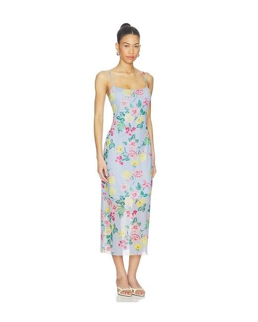 Steve Madden Blue Giselly Dress