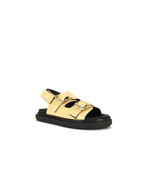 Alohas Multicolor Sandalen