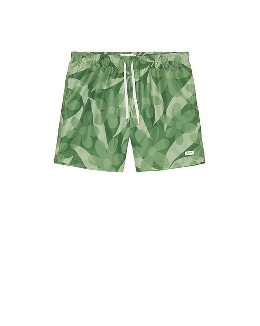 Bather Green Fern Daisy Trip Swim Trunk for men