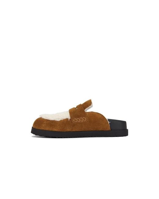 Steve Madden Brown Clogs Tomlin