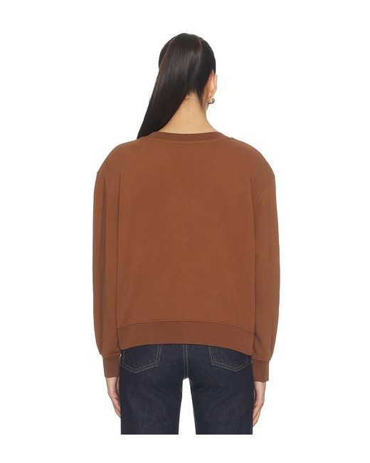 AllSaints Brown Luck Pippa Sweater
